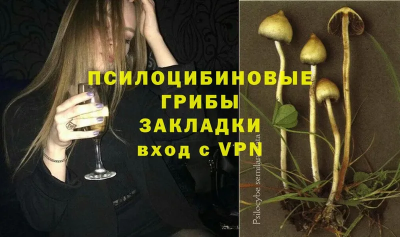 гидра ссылки  Белая Холуница  Галлюциногенные грибы Psilocybine cubensis 